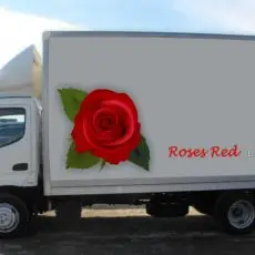 Branded truck